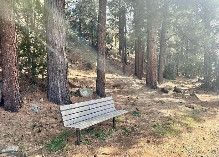 Mountain Escape, W/fireplace! * Show Low